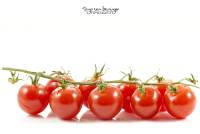 2017-03-02-08-20-25-(C)tomaat17web