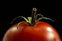 2017-11-15-21-44-37-(C)tomaat16web