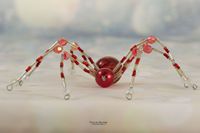 Spider rood